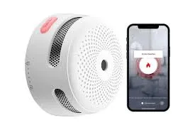 Benefits of Using a Smart Speaker with Smoke and CO Alarms